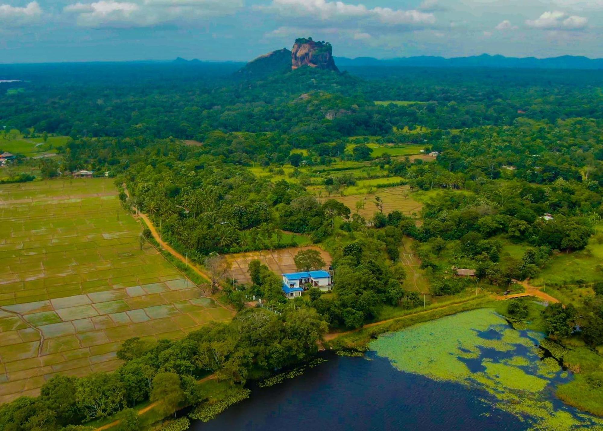 Bungalow Resort - Sigiriya Exterior photo
